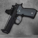 Beretta 6 Port